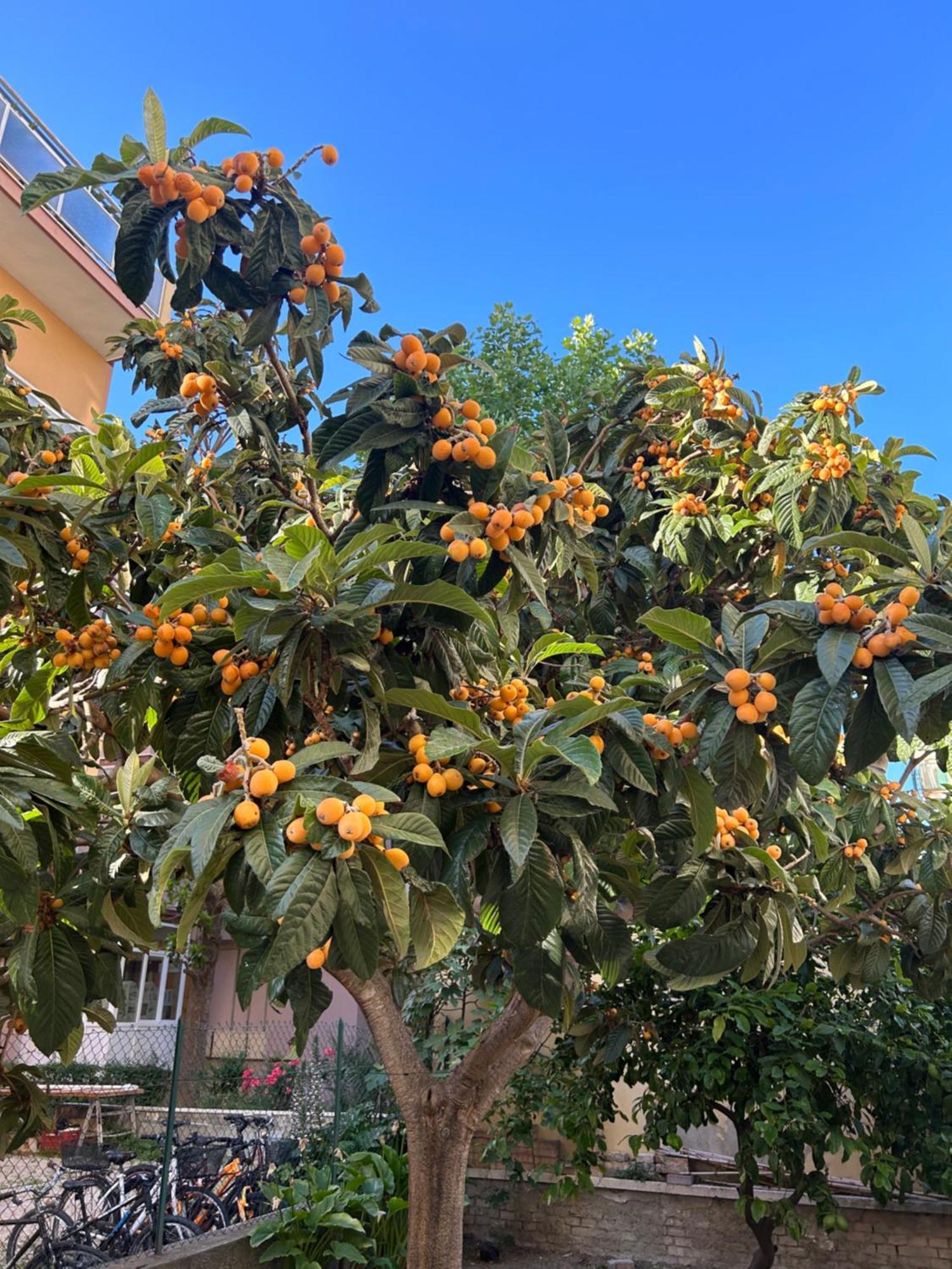 Appartamento Zona Residenziale, Due Passi Dal Mare Pescara Exterior foto
